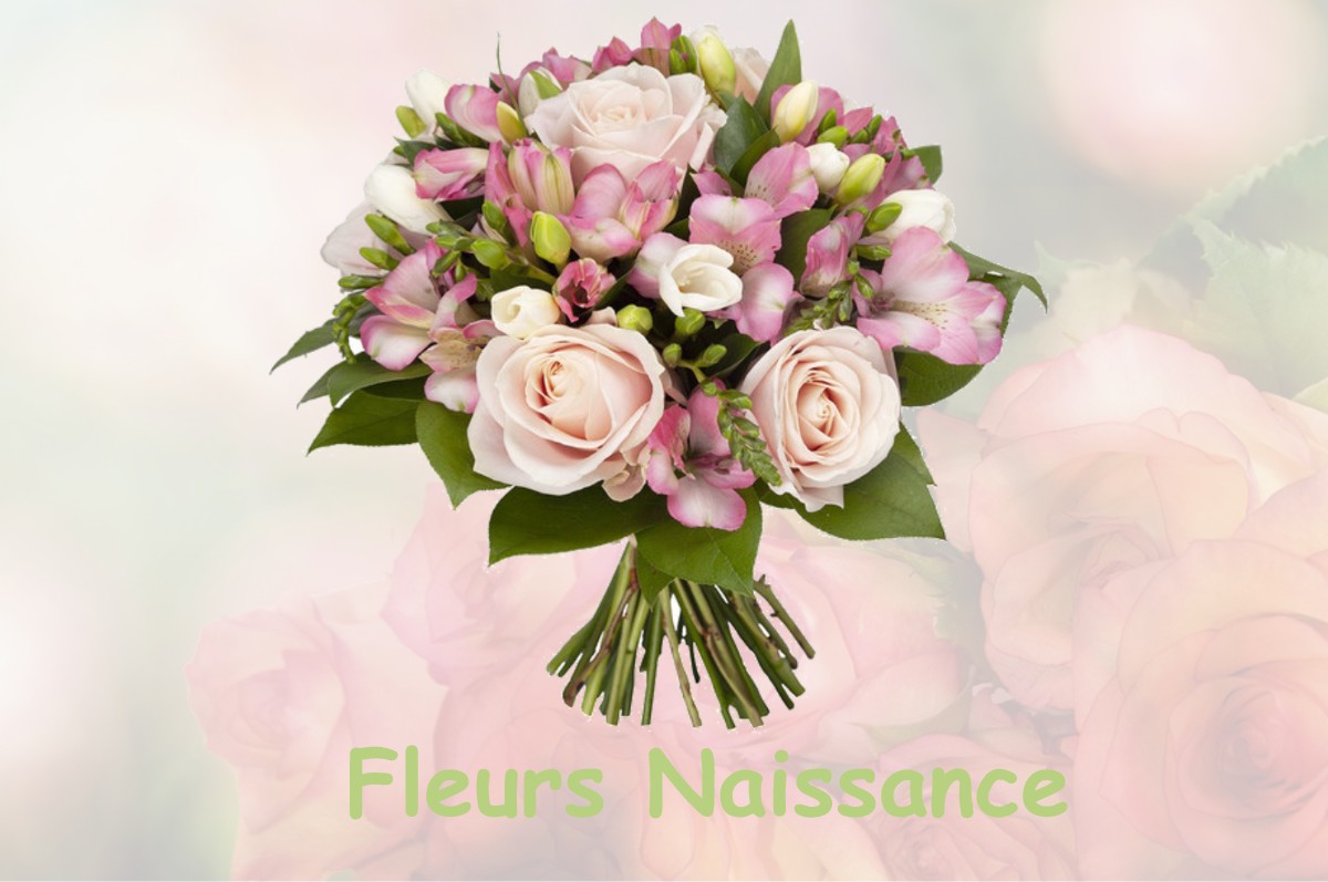 fleurs naissance SAINT-FREZAL-D-ALBUGES